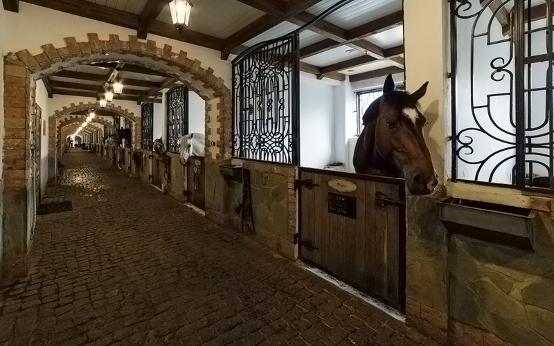 Прадар конный клуб