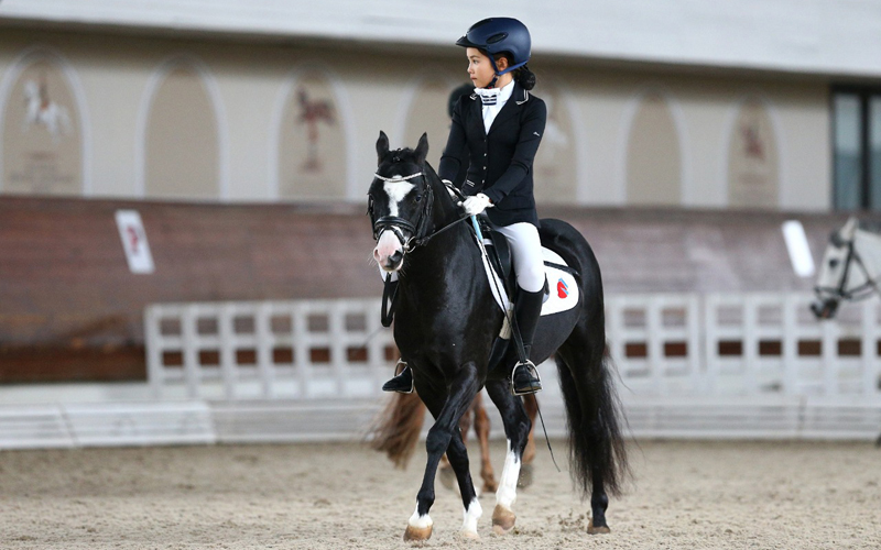 Прадар конный клуб